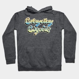 Everyday Experts Hoodie